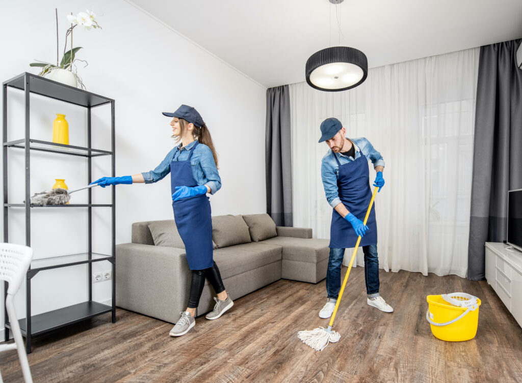 How Do You Professionally Clean A House?