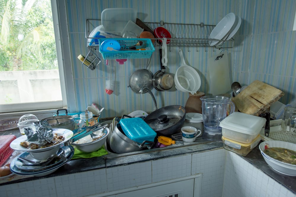 What Happens If You Dont Clean Your House For A Year?