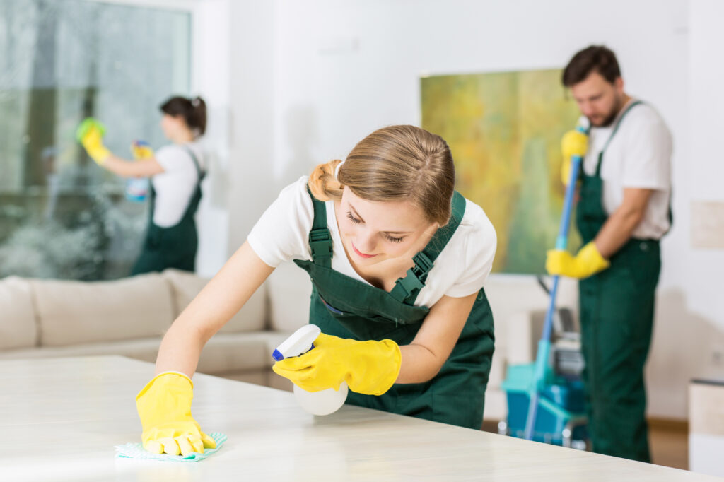What Should I Expect From A Domestic Cleaner?